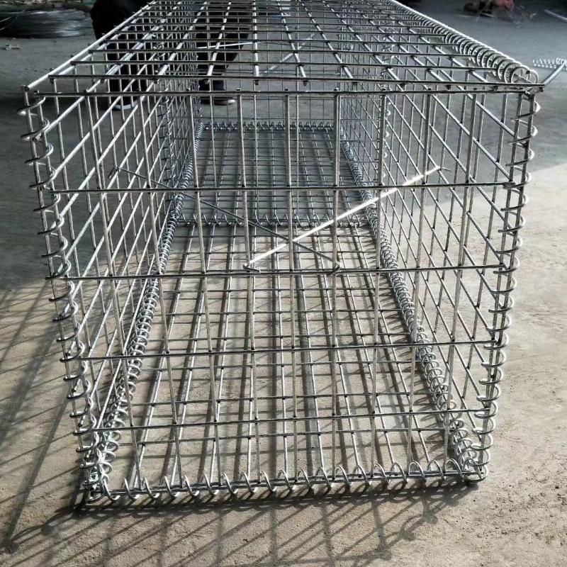 product-800-800 product-800-800